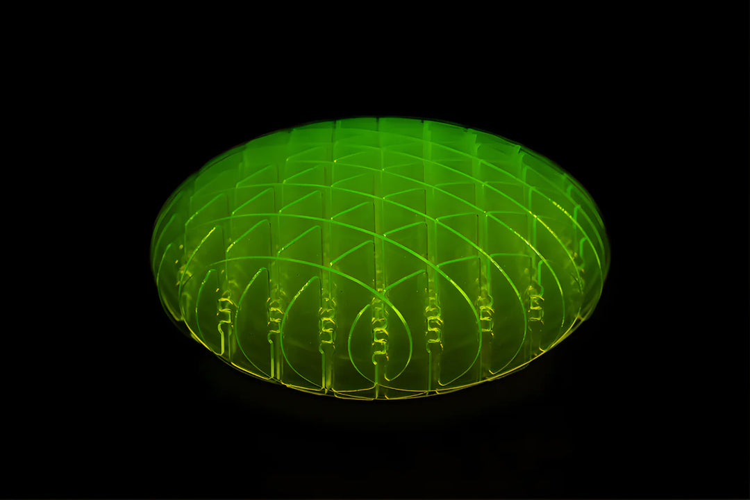 TM™ Warp Worm Sensory Toy