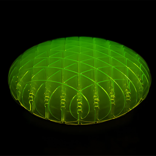 TM™ Warp Worm Sensory Toy