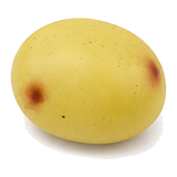 Potato Squishy